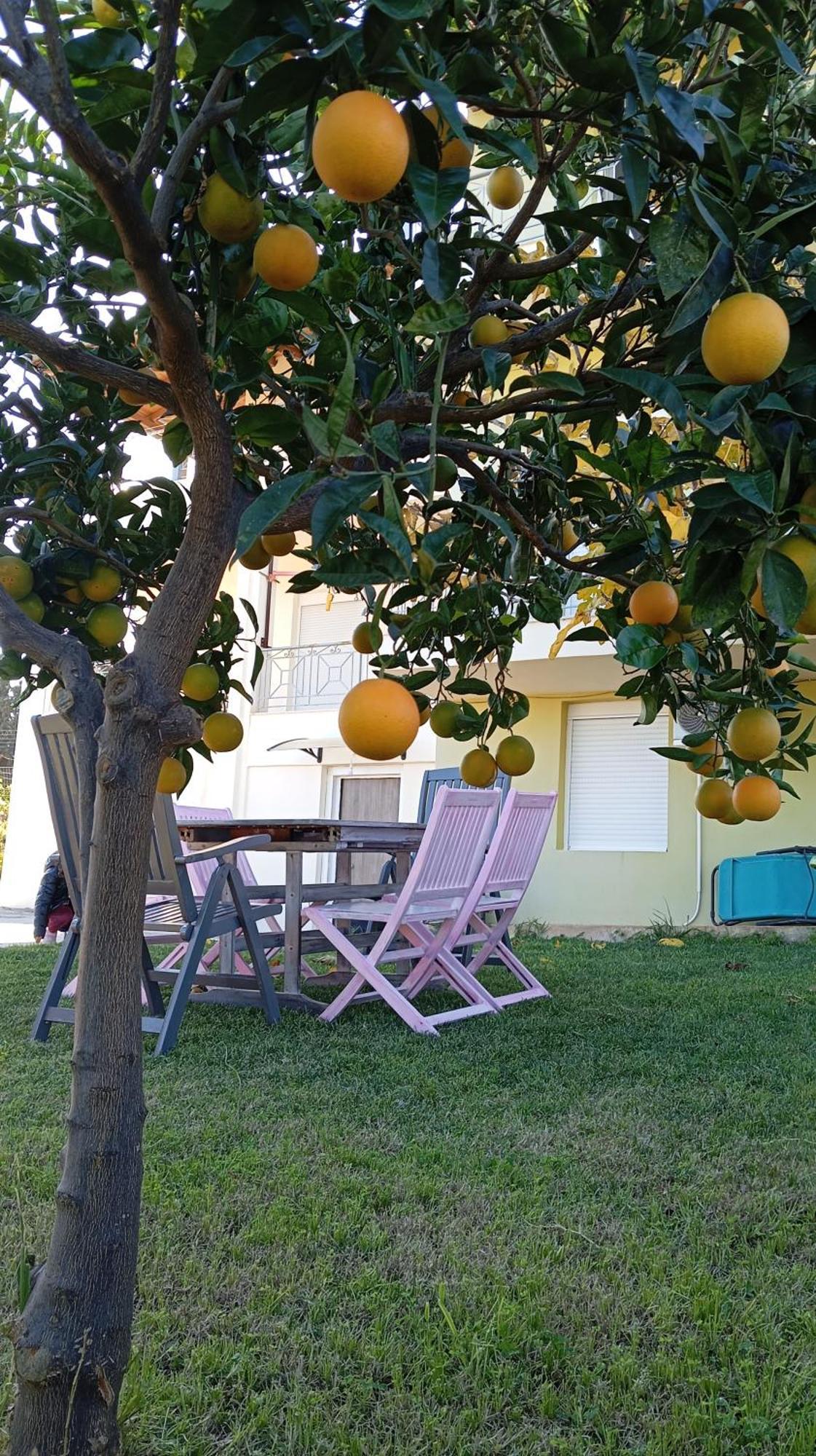 Katia 'S Country House Sikion Dış mekan fotoğraf