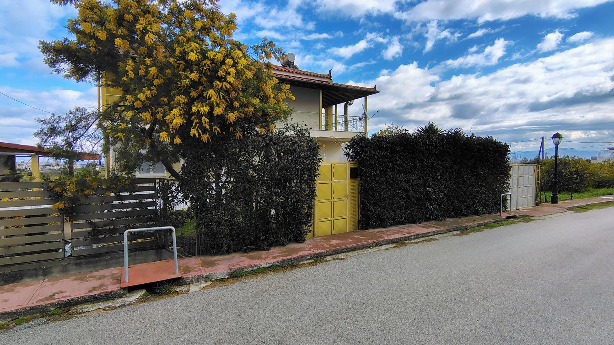 Katia 'S Country House Sikion Dış mekan fotoğraf